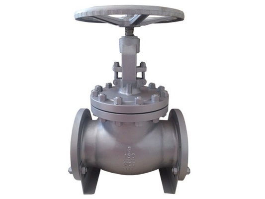 Cast Iron Valve Body Casting Check Control Water Plug Double Flange WCB Globe Valve